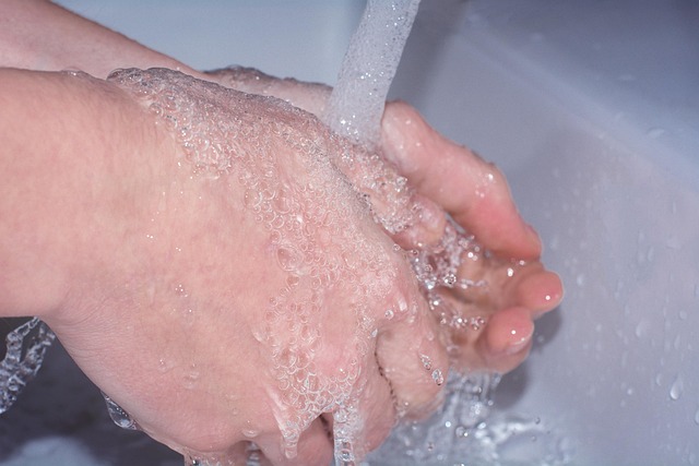 dog wash