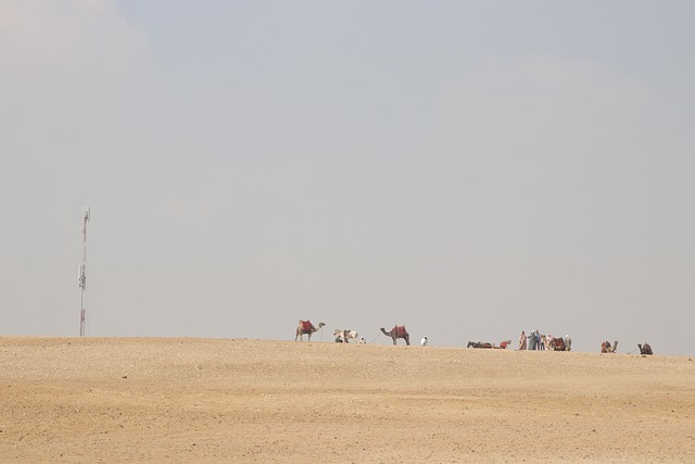 family caravan holidays