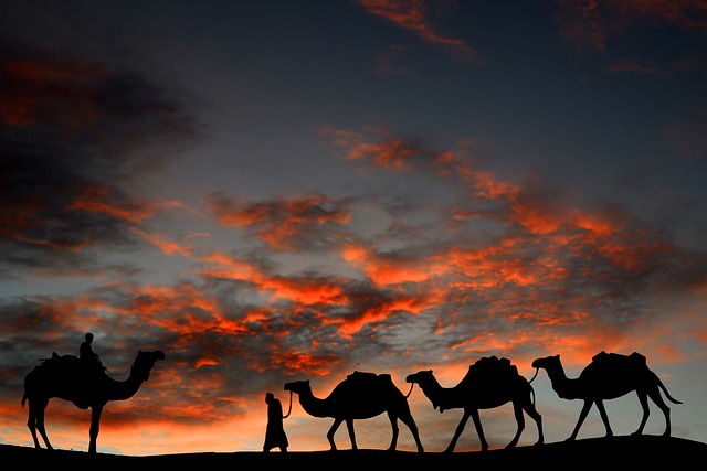 family caravan holidays