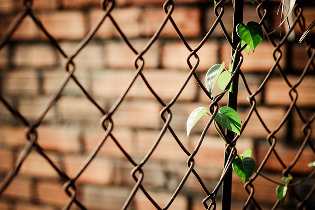 fence