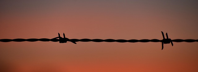 fence