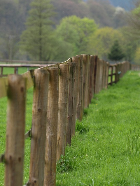 fence