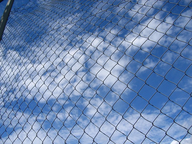 fence