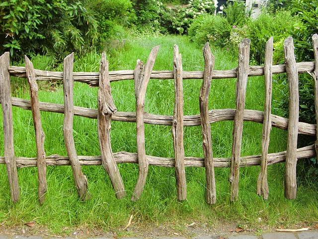 fence
