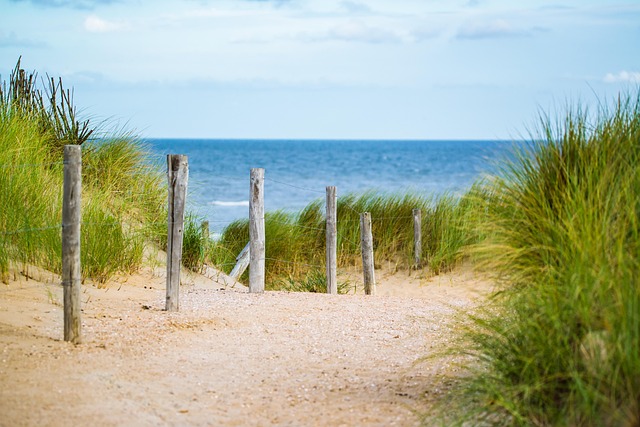 fence