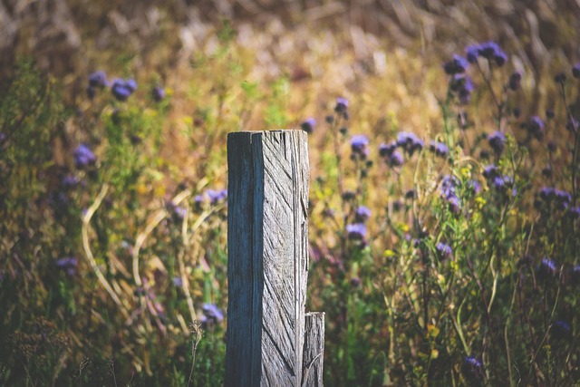 fence