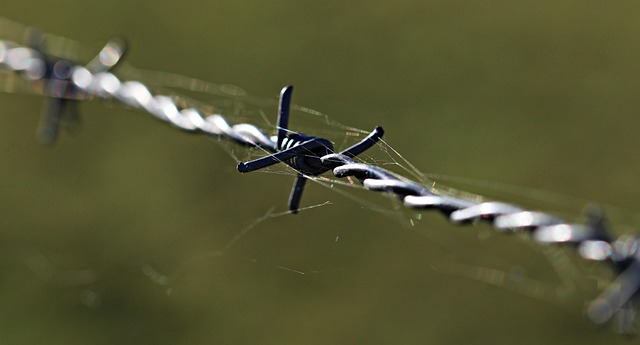 fence