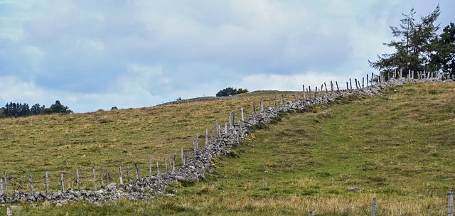 fencing