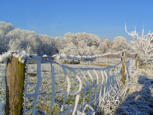 fencing