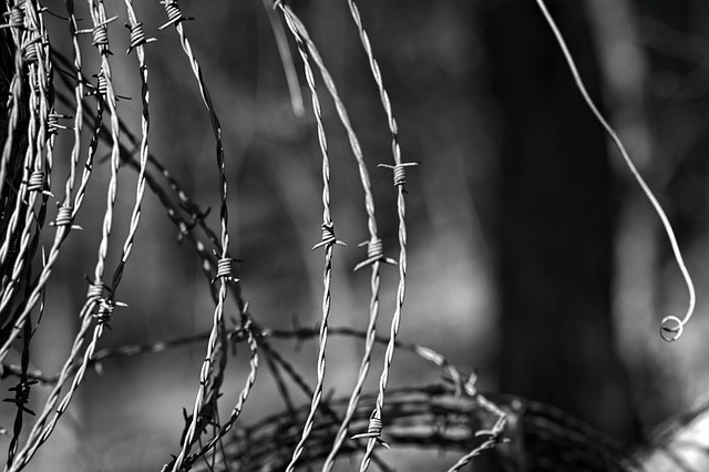 fencing