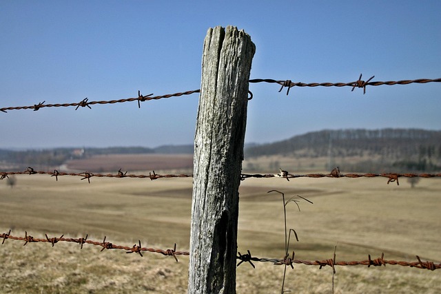 fencing