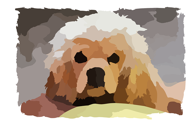 grooming pet dogs