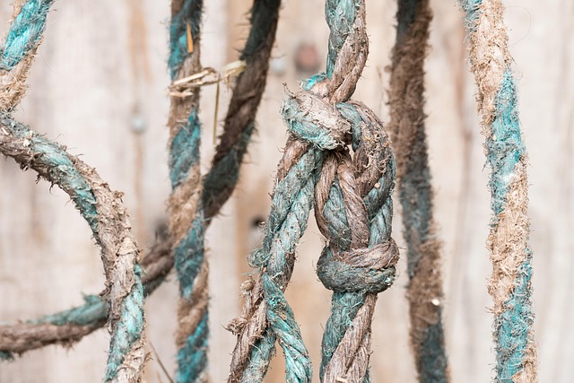 horse lead rope