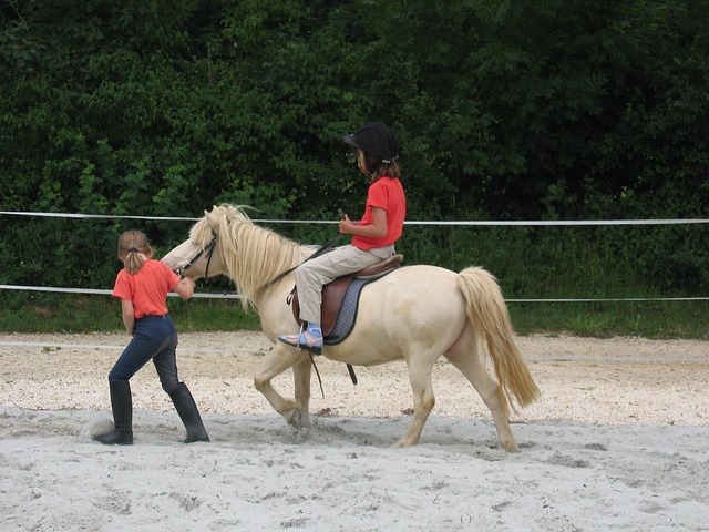 horse lead rope