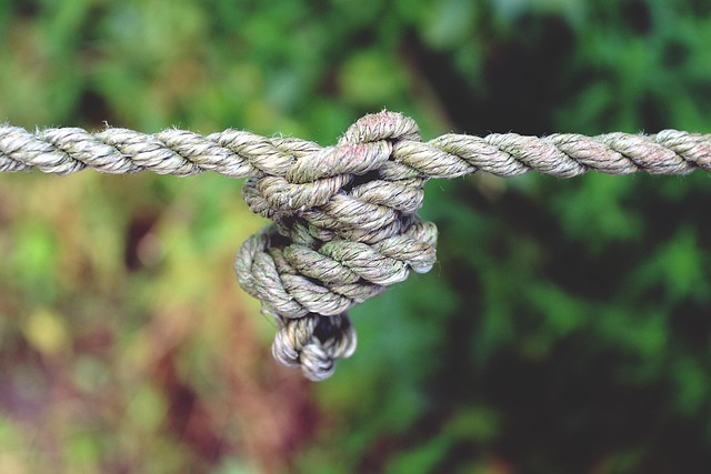 horse lead rope