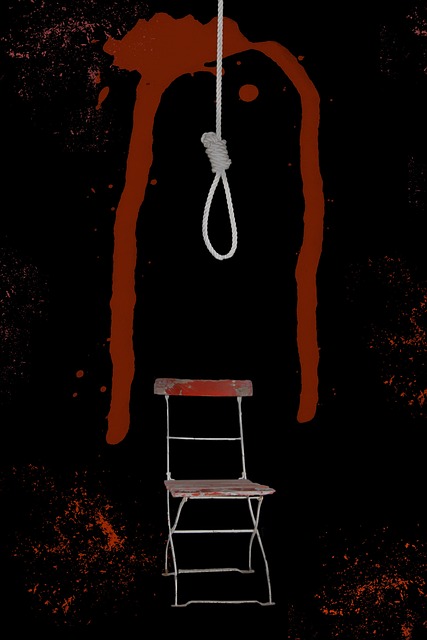 horse lead rope