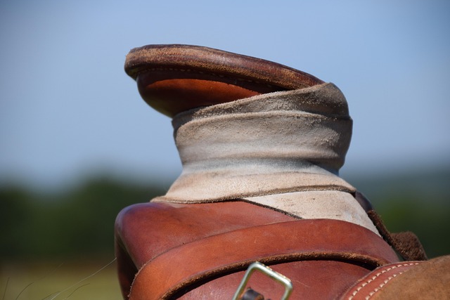 horse lead rope
