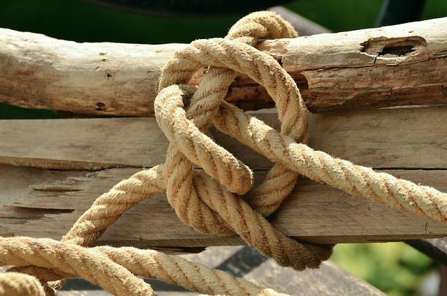 horse lead rope