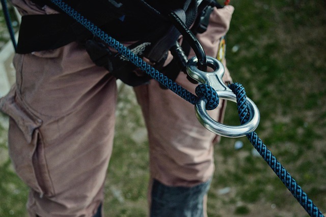 horse lead rope