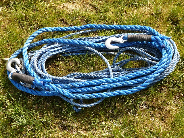 horse lead rope