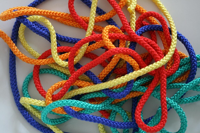 horse lead rope