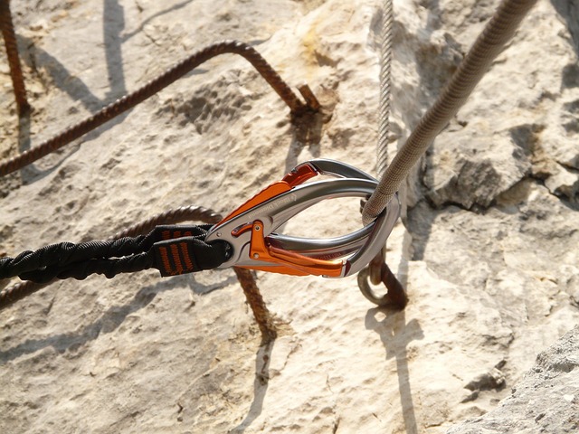 horse lead rope