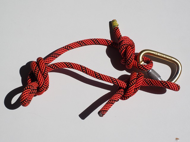 horse lead rope