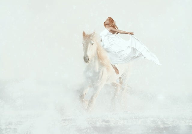 horses