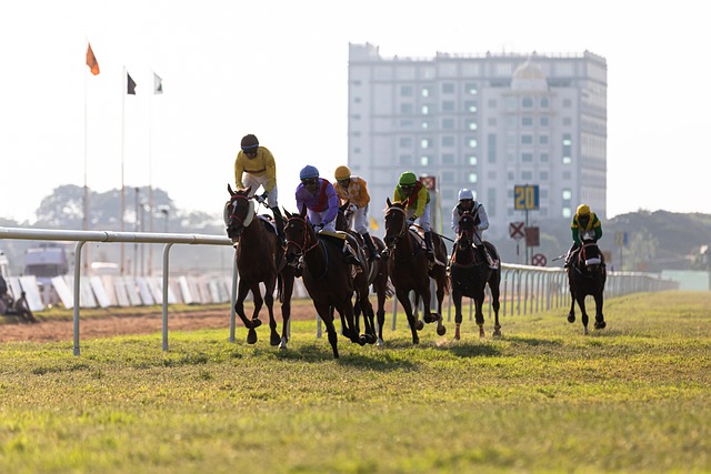 horses