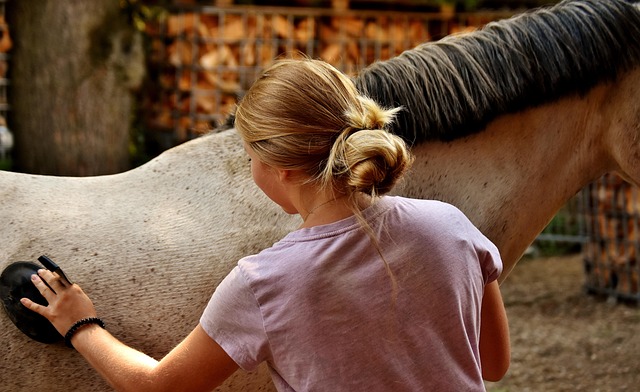 horses