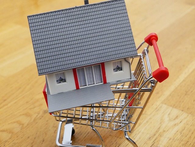 houses for sale
