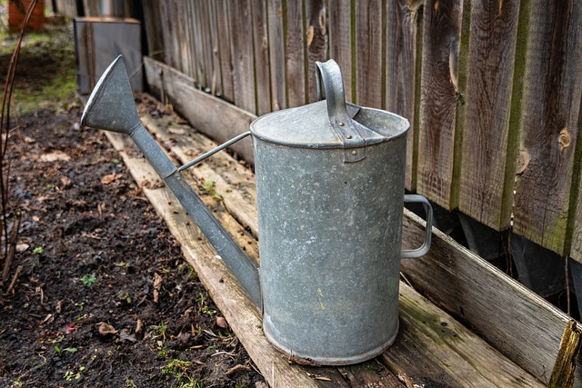 irrigation