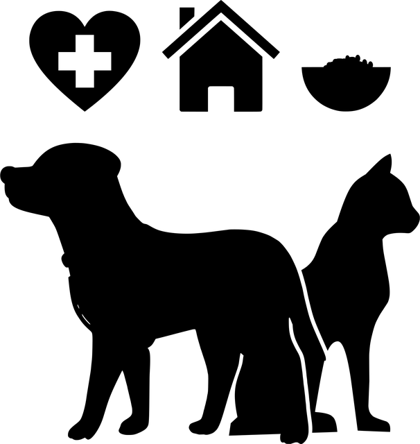 npressfetimg-1200.png