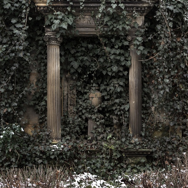npressfetimg-1315.png