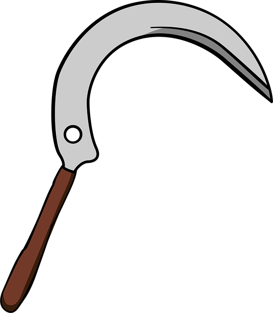 npressfetimg-1358.png