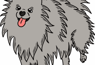 npressfetimg-1562.png