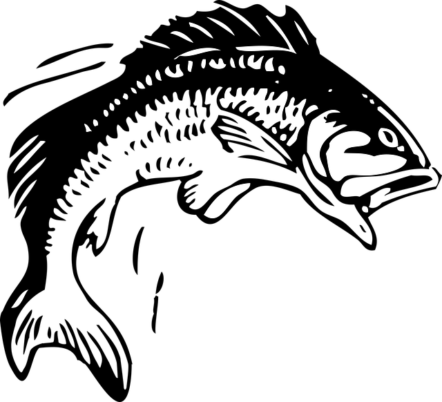 npressfetimg-1757.png