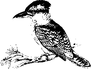 npressfetimg-1769.png