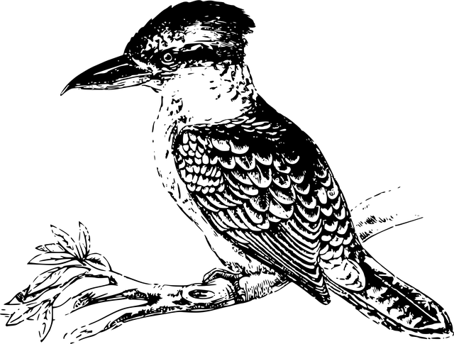 npressfetimg-1769.png