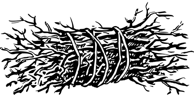 npressfetimg-1899.png