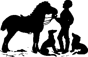 npressfetimg-198.png