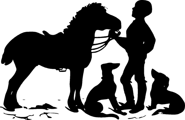 npressfetimg-198.png