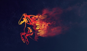 npressfetimg-2198.png