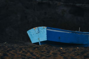 npressfetimg-543.png