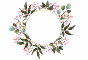 npressfetimg-882.png