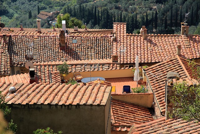 polycarbonate roof