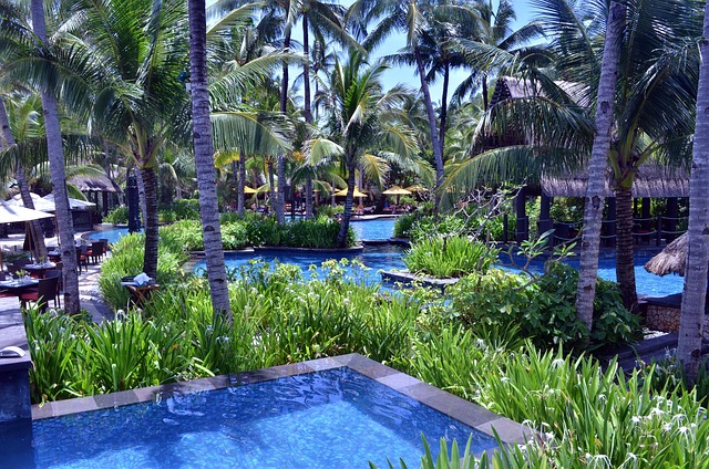 pool supplies