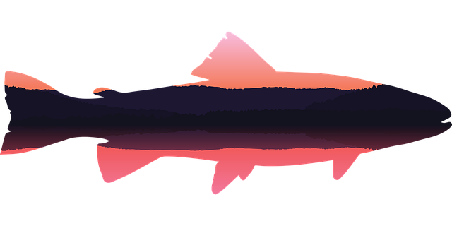 river fishing for trout