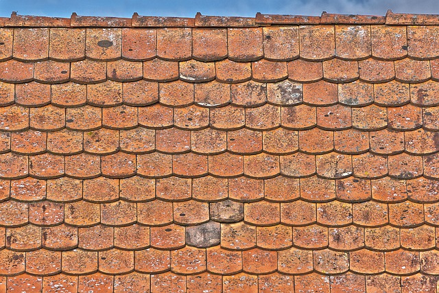 roof installation