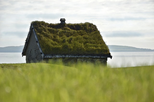 roofing, steel roofing, roof, house roof